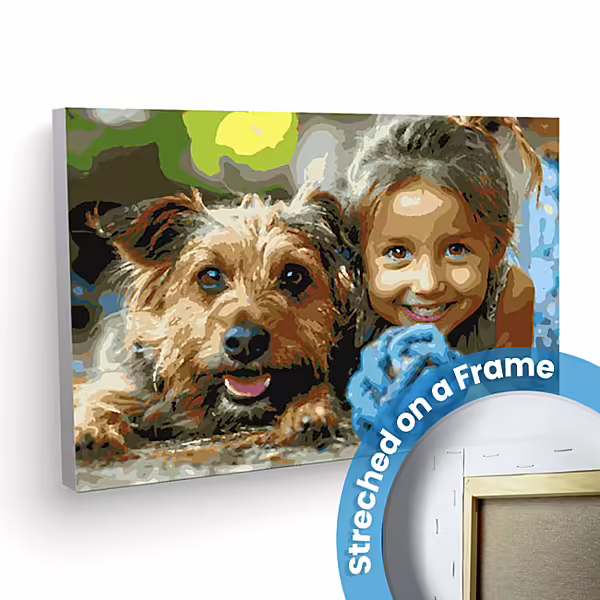 photo paint by numbers on a frame 